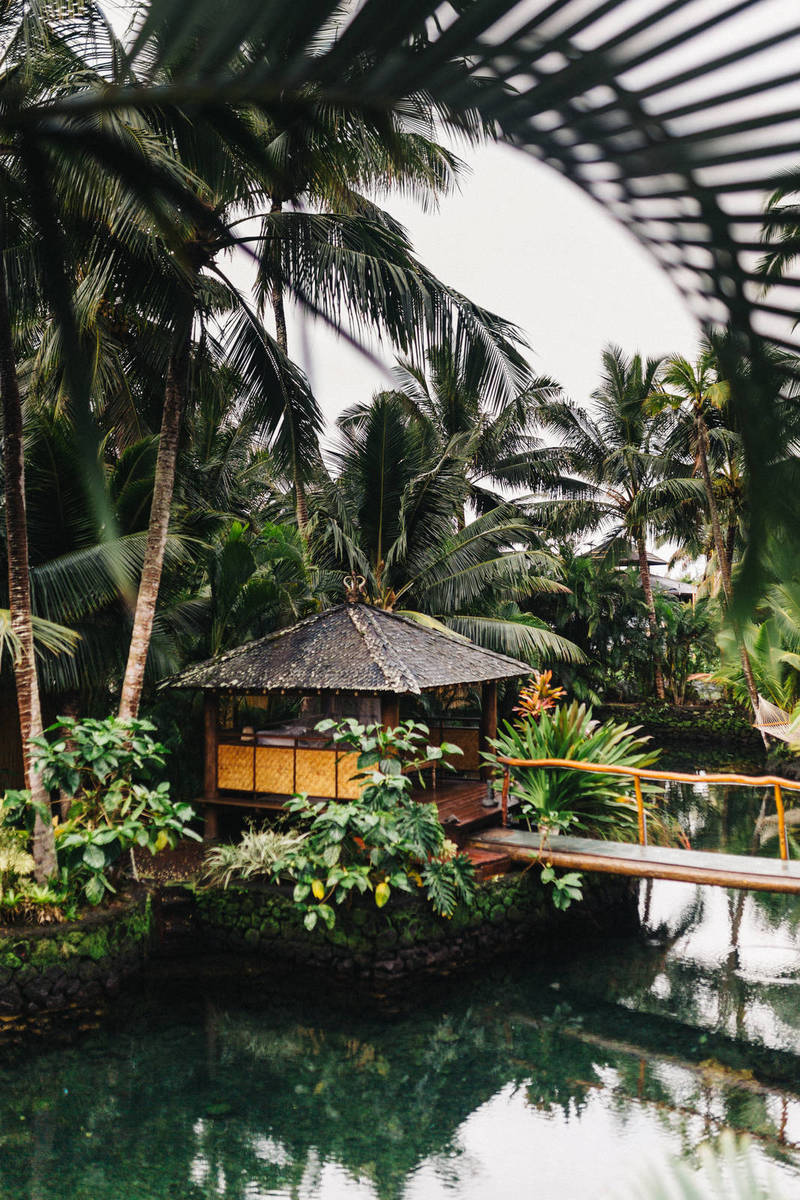 Tech Platforms CharterXE, FlyPJX to Ease Private Jet Booking