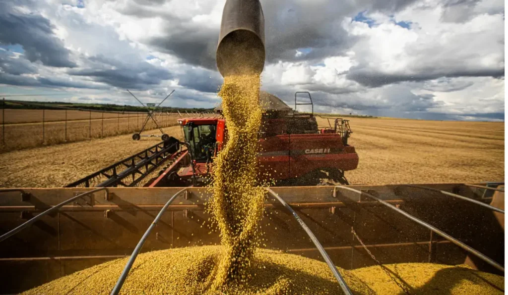 Agronegócio: De Recorde em 2025 a Possível Estagnação em 2026; Entenda o Cenário