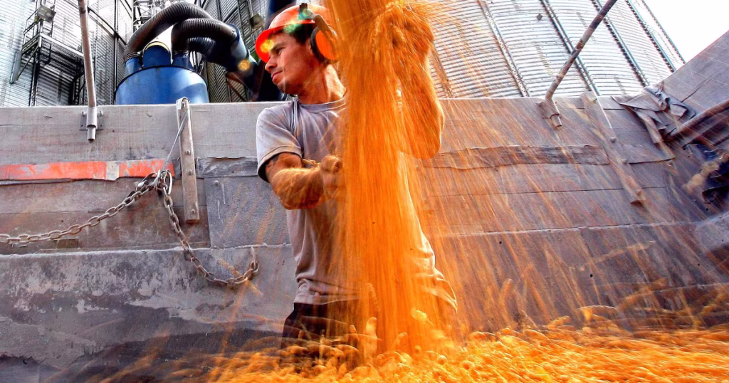 Agronegócio: De Recordes em 2025 a Estagnação em 2026 com Queda de Produtividade