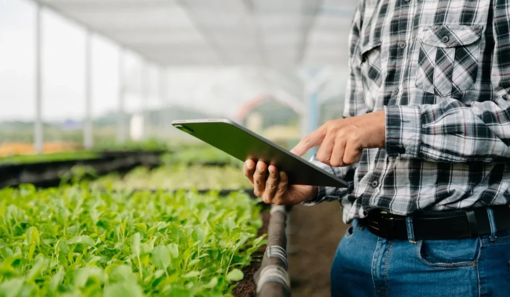 Desafios e Caminhos da Recuperação Judicial no Agronegócio