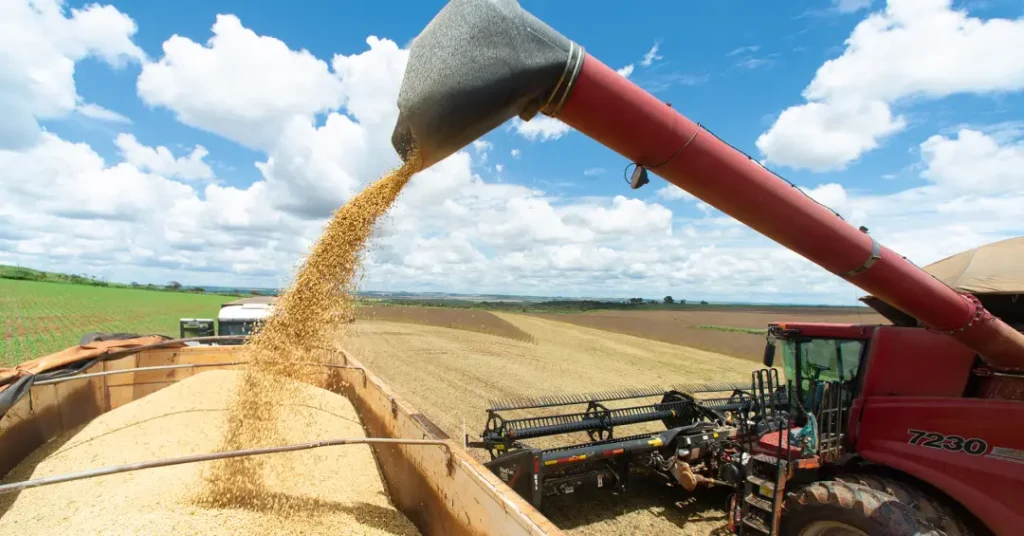 Previsões para o Agronegócio e o Governo Lula em 2026: Desafios à Vista