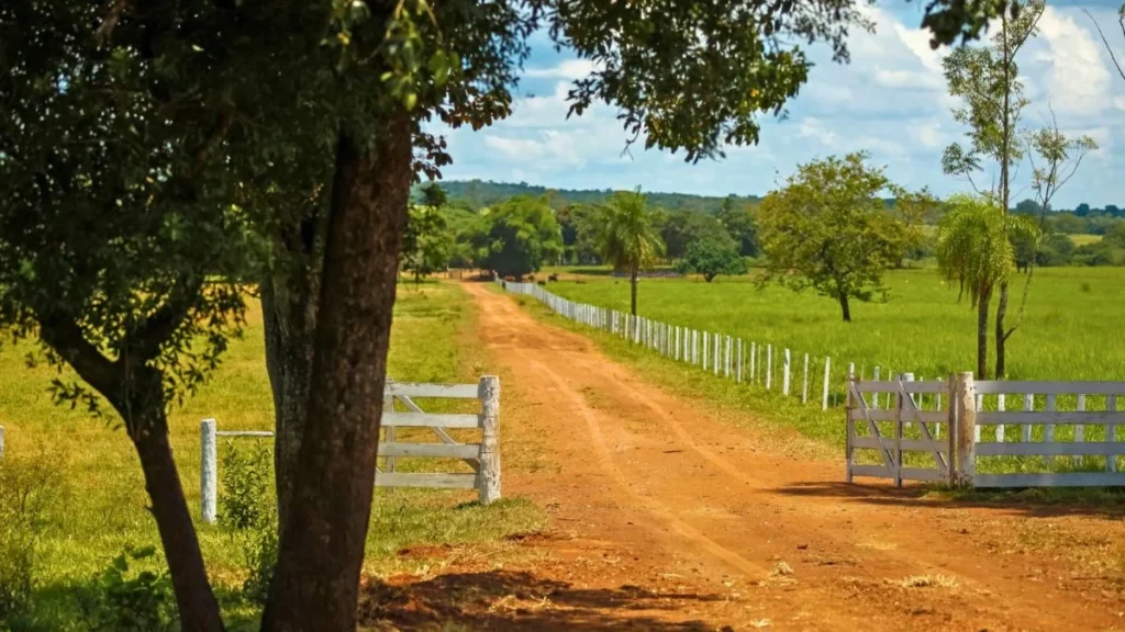 Recuperação Judicial e Crédito no Agronegócio: O Desafio Atual para Produtores Brasileiros