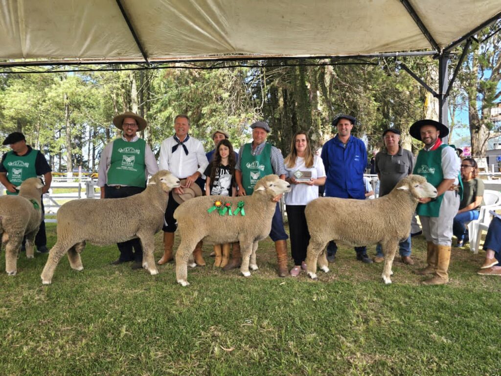 42ª Feovelha: Oportunidade Imperdível para o Agronegócio e Entretenimento