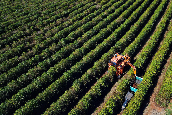 Agronegócio no Paraná: R$ 1,26 bilhão em contratações do BRDE em 2025 Agronegócio no Paraná: R$ 1,26 bilhão em contratações do BRDE em 2025