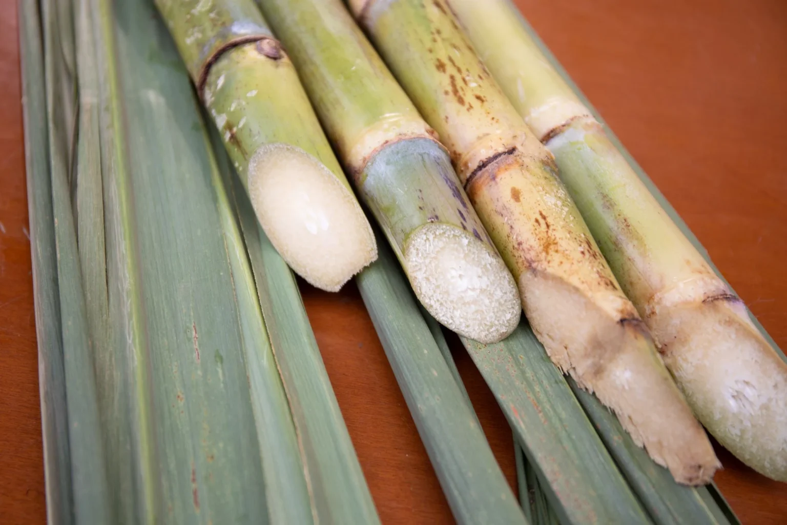 Agronegócio Paulista Registra Superávit de US$ 23 Bilhões em 2025