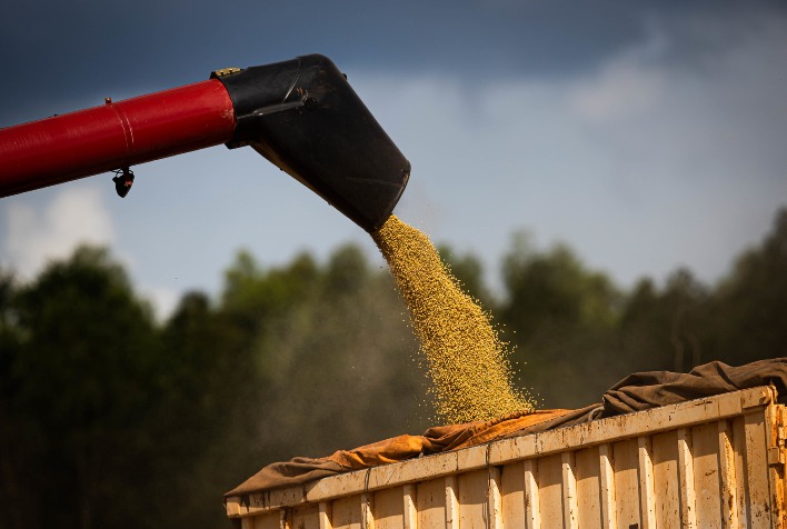 AgRural Eleva Projeções e Antecipação de Safra Recorde de Soja e Milho no Brasil em 2025/26 AgRural Eleva Projeções e Antecipação de Safra Recorde de Soja e Milho no Brasil em 2025/26
