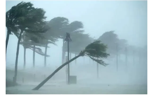 Alerta Laranja no Ceará: Chuvas Intensas e Ventos de até 100 km/h Atingem Diversos Municípios Alerta Laranja no Ceará: Chuvas Intensas e Ventos de até 100 km/h Atingem Diversos Municípios