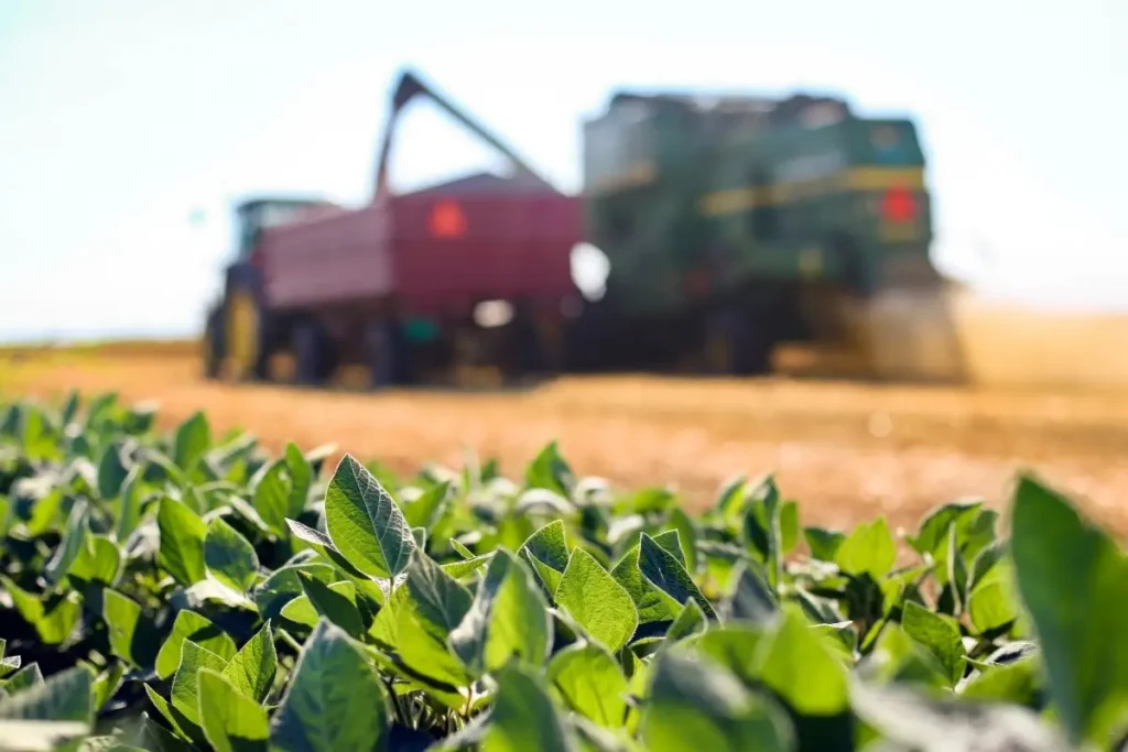 Americana Taxa Impacta Agronegócio Brasileiro: Nova Ameaça a Milho e Soja