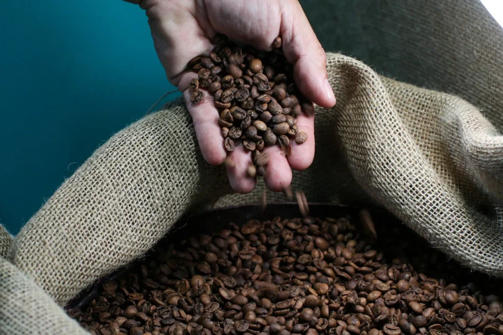 Café é o Produto Líder em Exportações do Agronegócio Capixaba em 2025