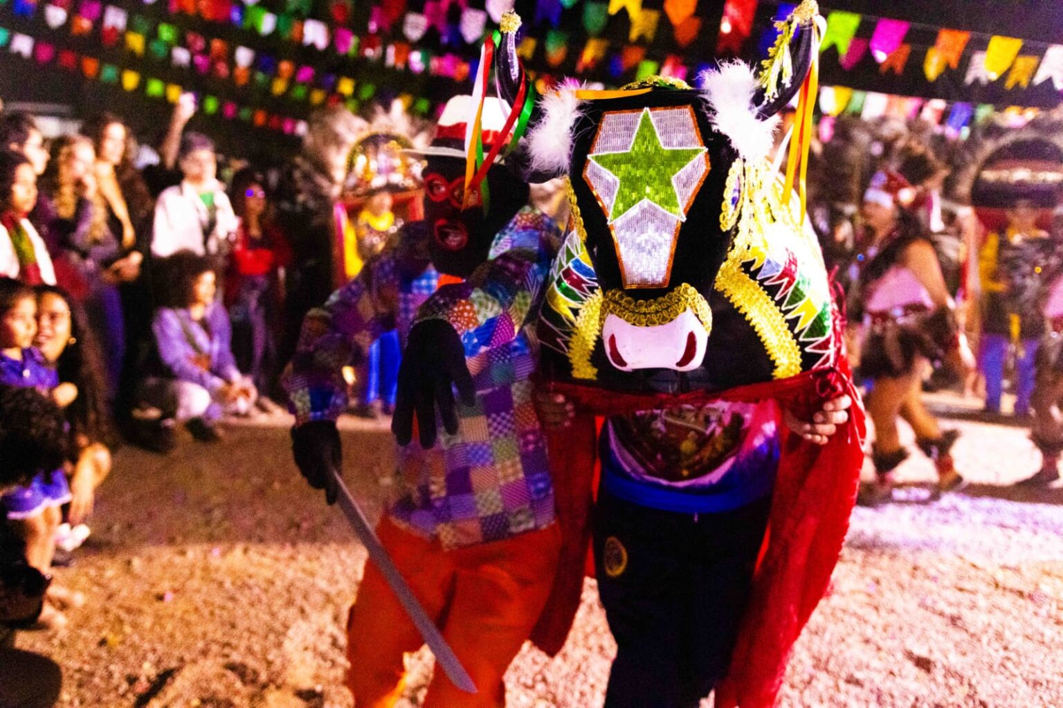 Cultura Negra em Movimento: Celebração da Diversidade Afro-Brasileira no DF até 2026