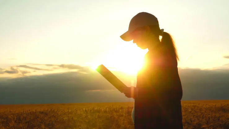 Desinformação nas Redes Sociais: Um Desafio Crítico para o Agronegócio Brasileiro Desinformação nas Redes Sociais: Um Desafio Crítico para o Agronegócio Brasileiro