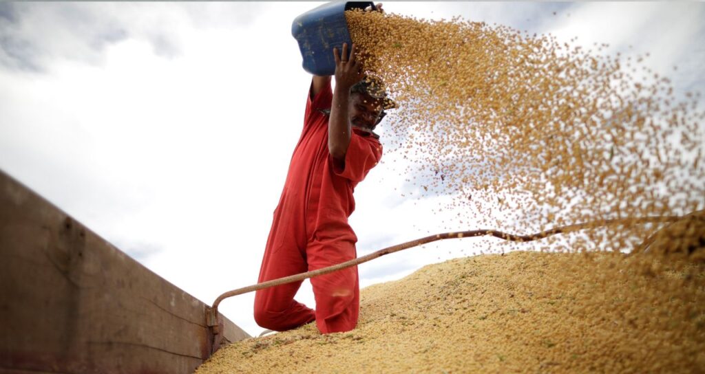 Exportação do Agronegócio Brasileiro Cresce 3% em 2025 e Alcança Recorde Histórico