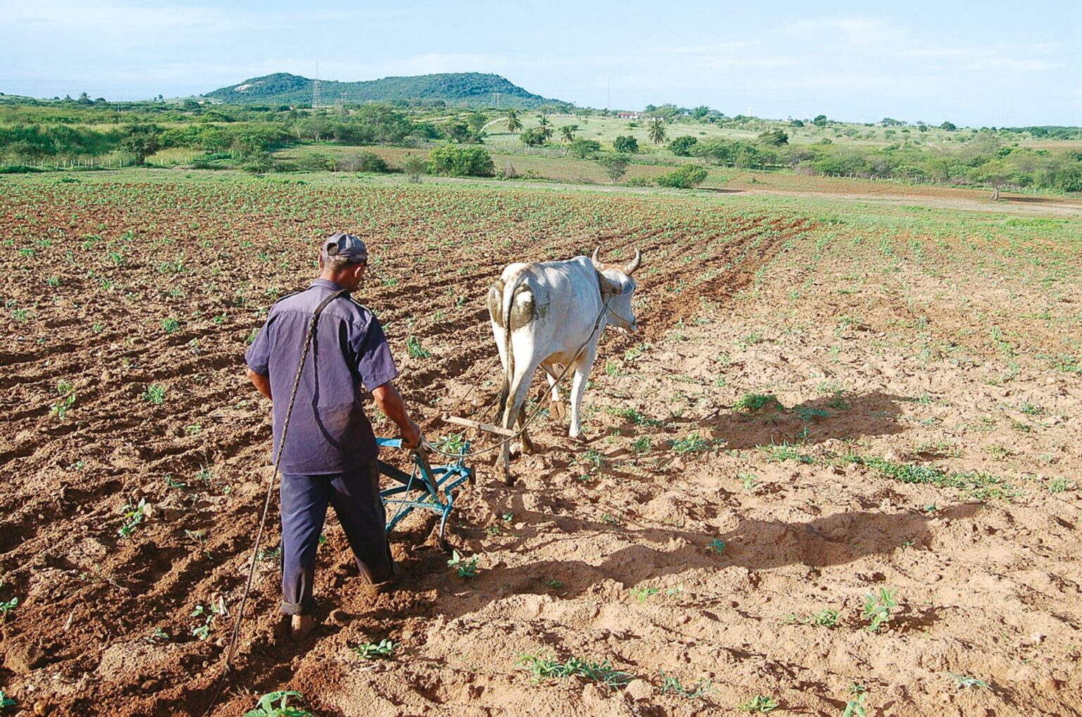 Inadimplência no Agronegócio do RN Alcança 12,8%, o Maior do Nordeste e 4º do Brasil