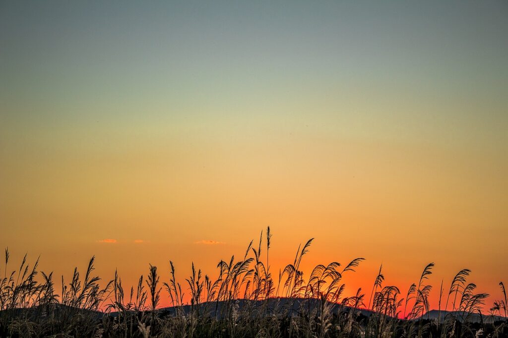 INMET emite alerta amarelo de baixa umidade e risco de incêndios no Ceará