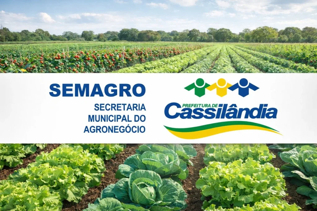 Pesquisa Aprofunda Mercado Hortifruti em Cassilândia: Contribua para o Futuro do Agronegócio Local