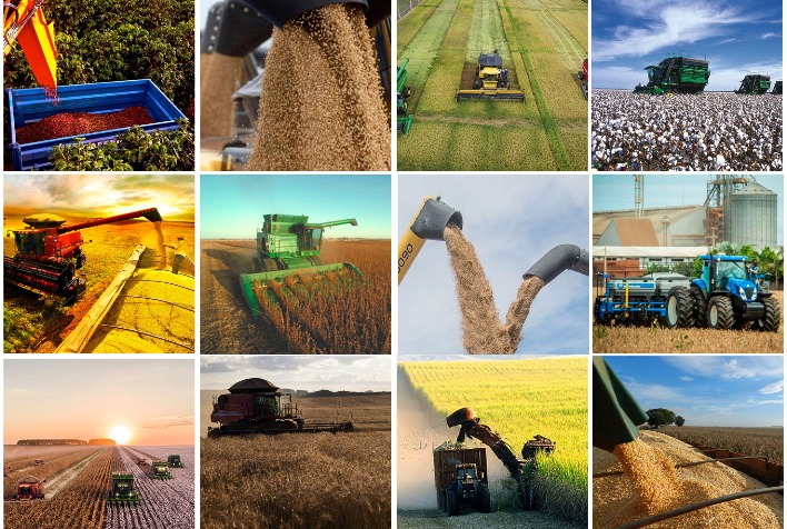 Produtividade do Agronegócio Brasileiro Pode Crescer 20% com Ajustes Operacionais Produtividade do Agronegócio Brasileiro Pode Crescer 20% com Ajustes Operacionais