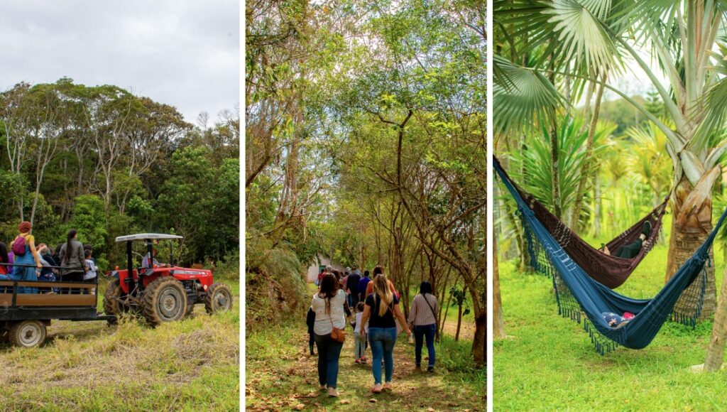Sustentabilidade e Cultura: SP Produz Transforma São Paulo