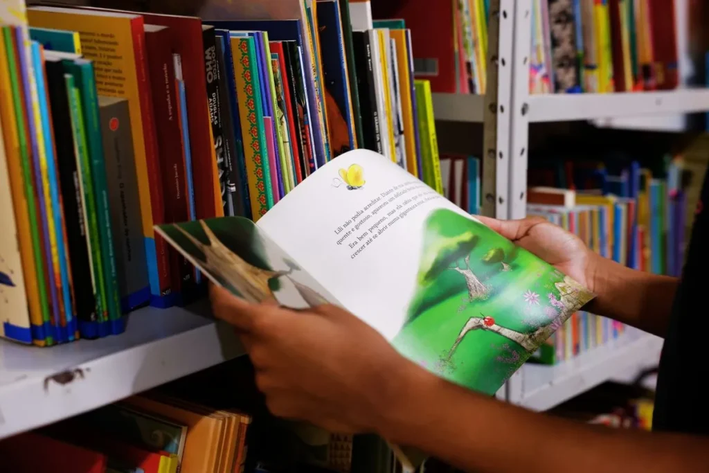 A Educação no Brasil: Históricos, Estruturas e Desafios Atuais