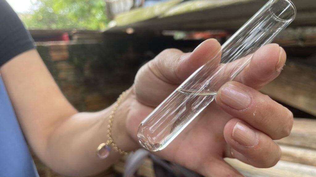 Aumento de Focos do Mosquito da Dengue em Rio Grande: Uma Preocupação Crescente Aumento de Focos do Mosquito da Dengue em Rio Grande: Uma Preocupação Crescente