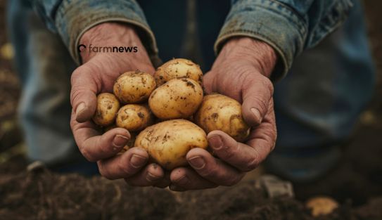 Carnaval e Agronegócio: Quando a Cultura se Torna Posicionamento Político Carnaval e Agronegócio: Quando a Cultura se Torna Posicionamento Político