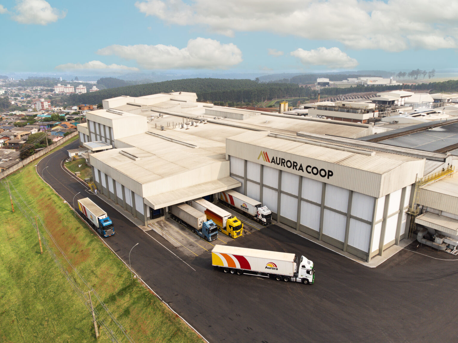 Cooperativismo: Gigantes do Agronegócio Brasileiro em Ascensão