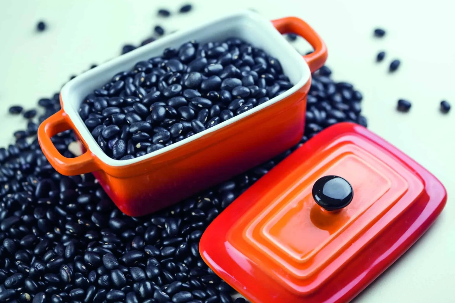 Cotações do Feijão Disparam no Final de Janeiro: Entenda o Motivo