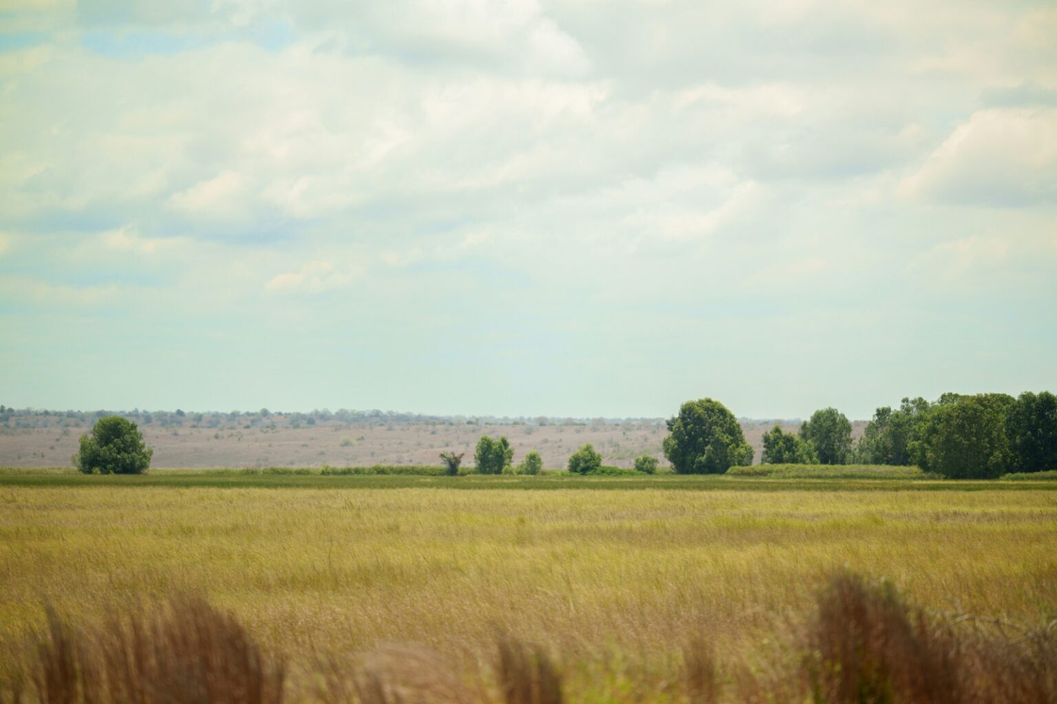 Entenda o Interesse do Brasil em Terras Agrícolas em Angola