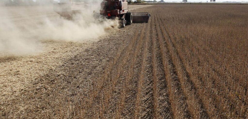 Exportações do Agronegócio Caem 2,2% e Totalizam US$ 10,8 Bilhões em Janeiro Exportações do Agronegócio Caem 2,2% e Totalizam US$ 10,8 Bilhões em Janeiro