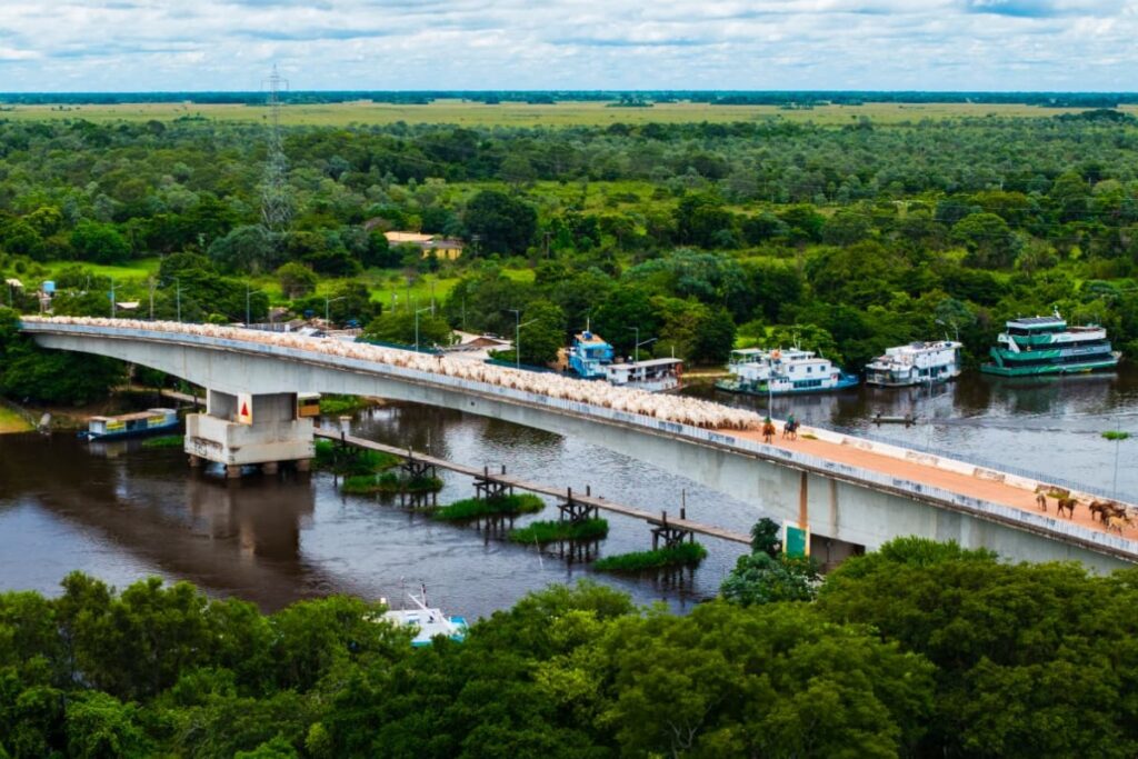 Fotógrafo Captura a Riqueza Cultural do Pantanal em MS Fotógrafo Captura a Riqueza Cultural do Pantanal em MS