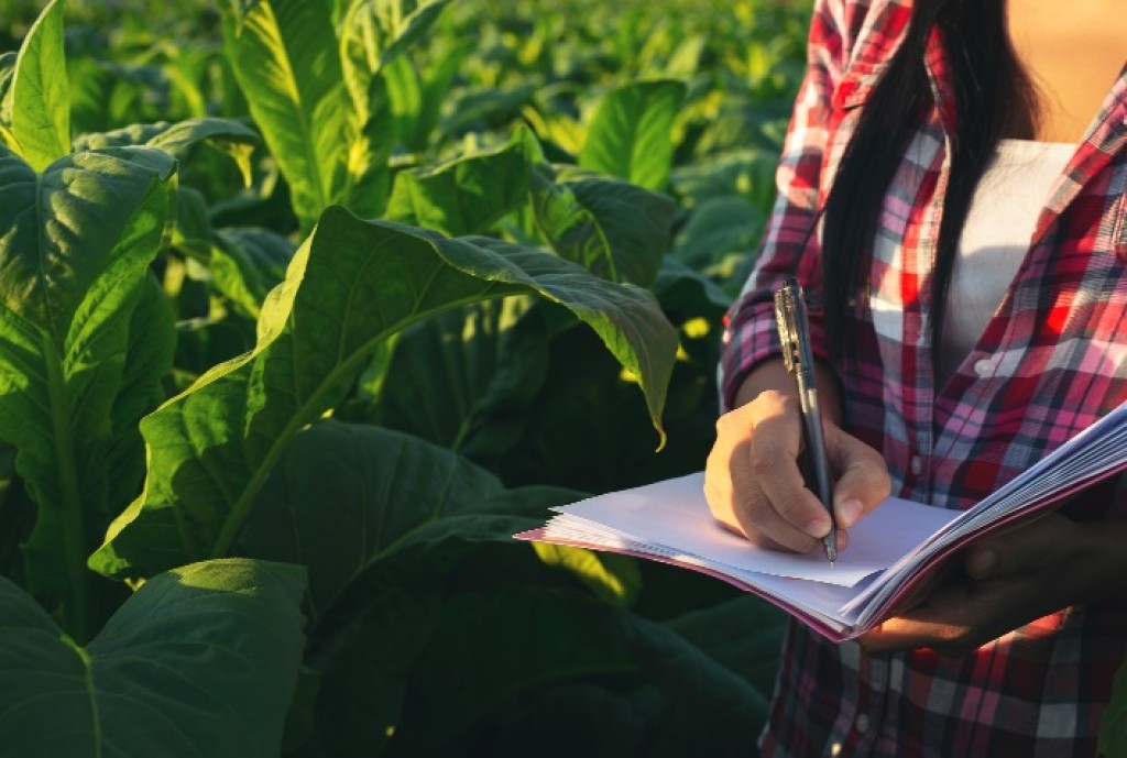 Minas Gerais: Aumento nas Recuperações Judiciais Revela Pressão em Empresas do Agro e Indústria Minas Gerais: Aumento nas Recuperações Judiciais Revela Pressão em Empresas do Agro e Indústria