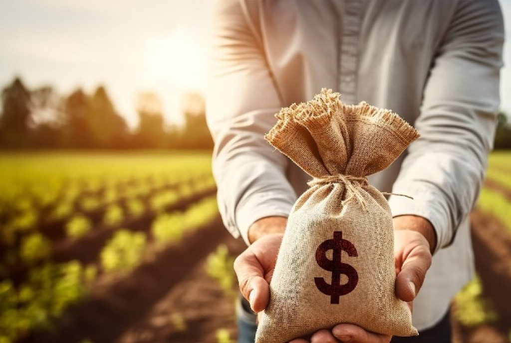 Crédito no Agronegócio: Armadilhas e Fragilidade Financeira Expostas Crédito no Agronegócio: Armadilhas e Fragilidade Financeira Expostas