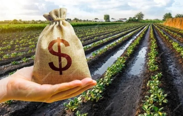 Crescimento do PIB do Agronegócio Paulista em 2024: Um Marco de 4% Crescimento do PIB do Agronegócio Paulista em 2024: Um Marco de 4%