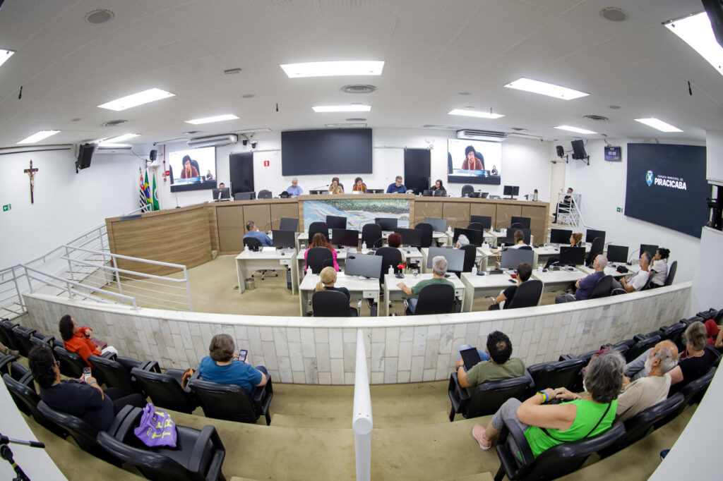 Cultura em Foco: Projeto de Eleição Direta no Comcult Até Dois Meses