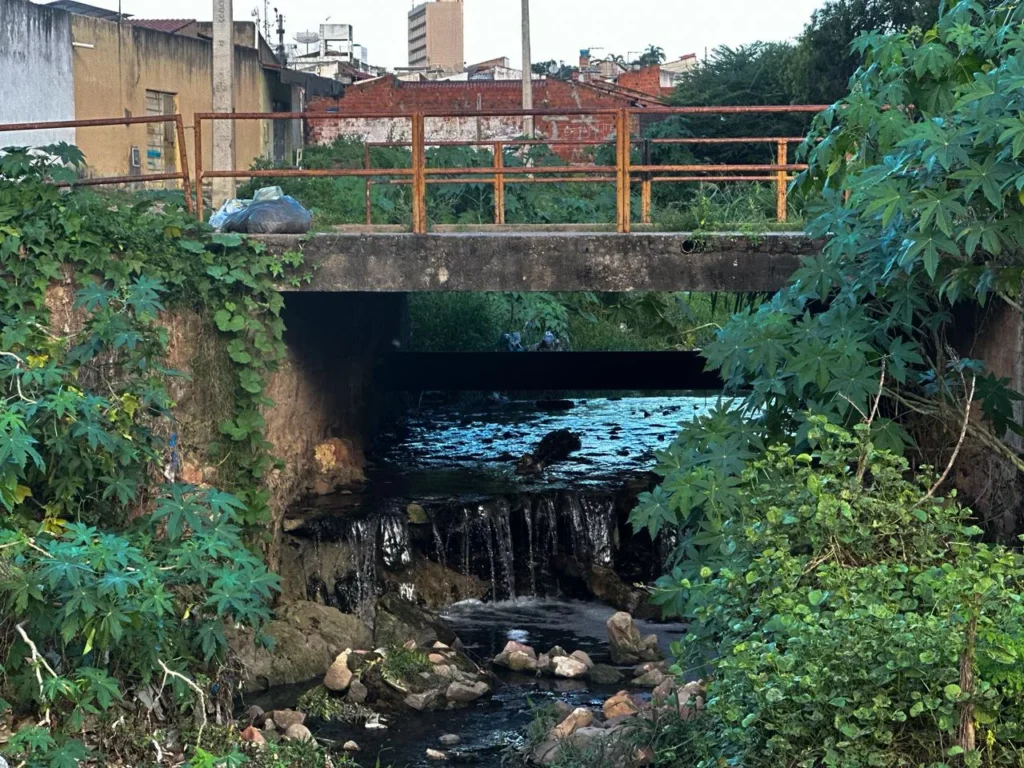 Da Degradação à Esperança: A Memória do Rio Salgadinho em Juazeiro do Norte Da Degradação à Esperança: A Memória do Rio Salgadinho em Juazeiro do Norte