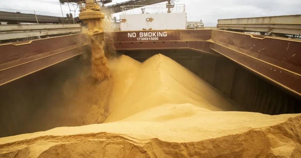 Dependência do Agronegócio Brasileiro em Produtos Chave do Oriente Médio