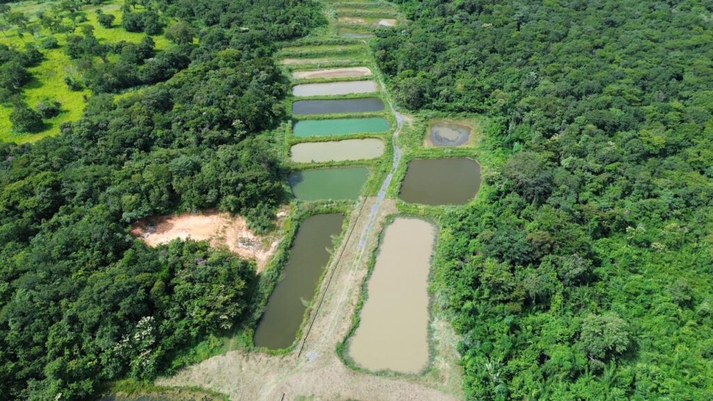 Embrapa Inaugura Unidade Mista e Revoluciona a Agricultura Familiar em Mato Grosso