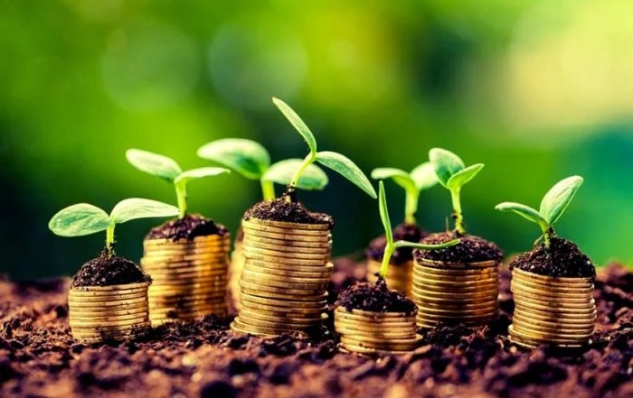 LCAs Dominam Financiamento Privado do Agronegócio com Crescimento de 11% LCAs Dominam Financiamento Privado do Agronegócio com Crescimento de 11%