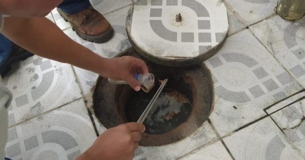 Prevenção e Atendimento: Saúde de Maceió Alerta sobre Picadas de Escorpiões Prevenção e Atendimento: Saúde de Maceió Alerta sobre Picadas de Escorpiões