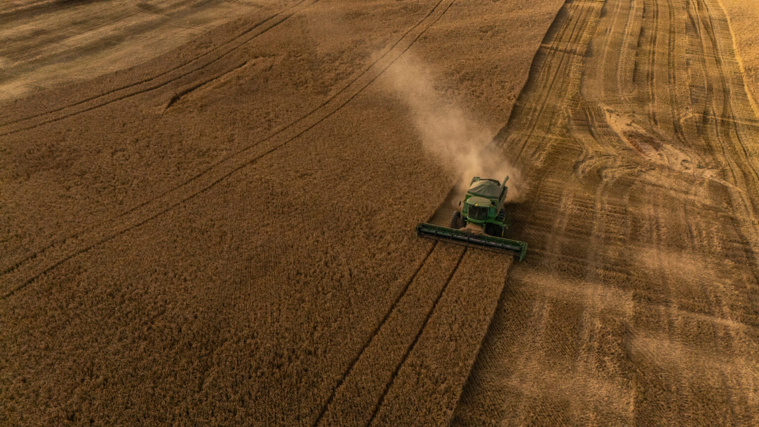 Produção de Cevada no Brasil: Avanços e Desafios para o Setor