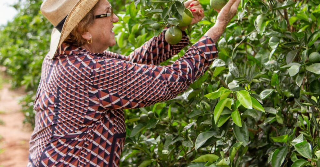 A Luta pela Imagem do Agro Brasileiro no Cenário Global