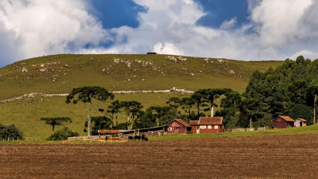 Abuso Patrimonial no Agro: O Crime Silencioso Que Ameaça Famílias e Fazendas