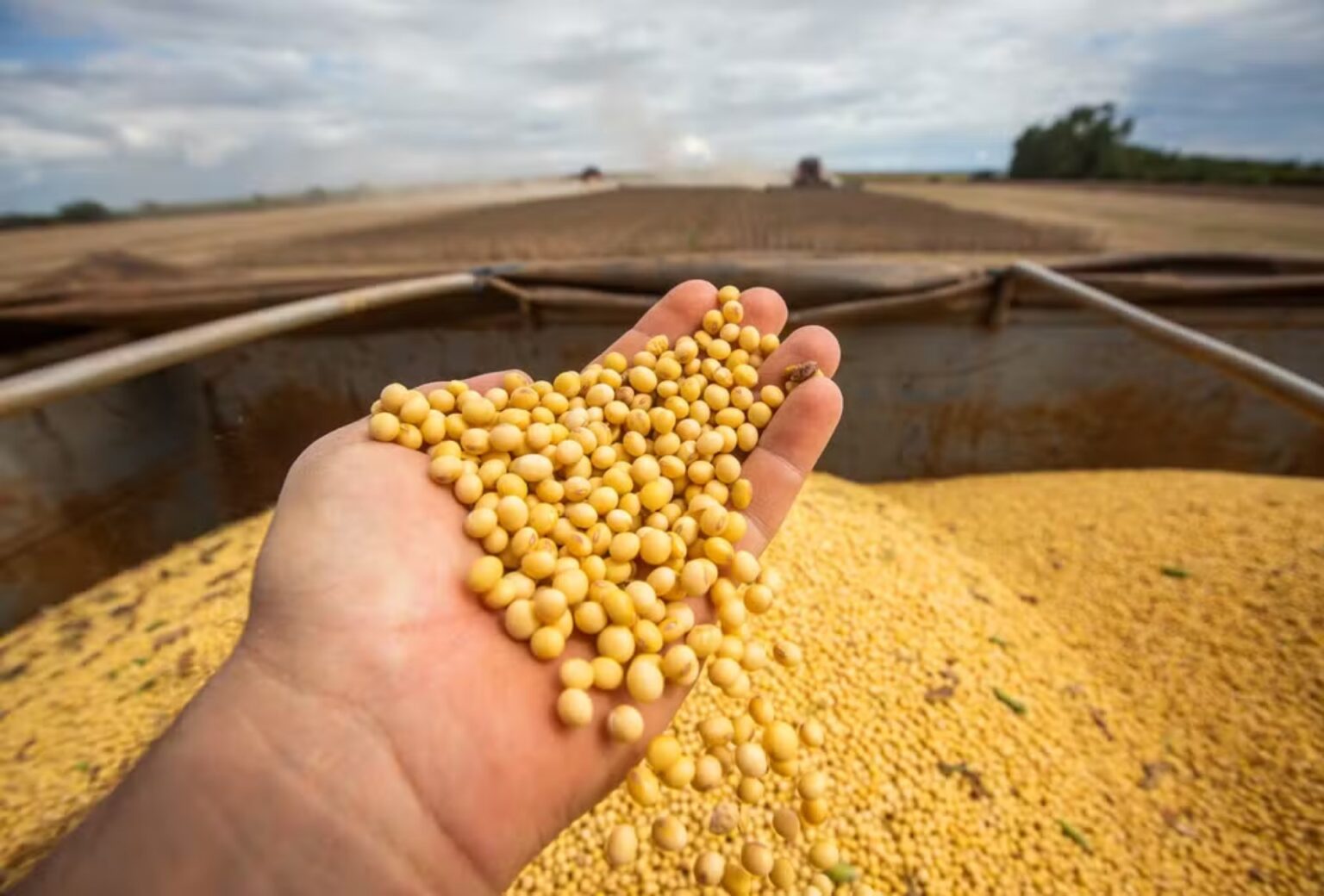 Barter: A Nova Tendência de Pagamento com Soja no Agronegócio