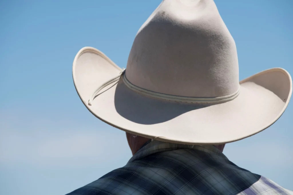 Conflito entre Agronegócio e Conservação: A Criação do Parque Nacional do Albardão em Risco Conflito entre Agronegócio e Conservação: A Criação do Parque Nacional do Albardão em Risco