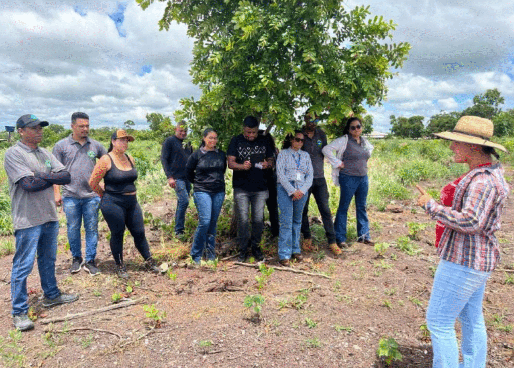 Cursos Técnicos Gratuitos em Agronegócio: Qualificação em Alta em Mato Grosso