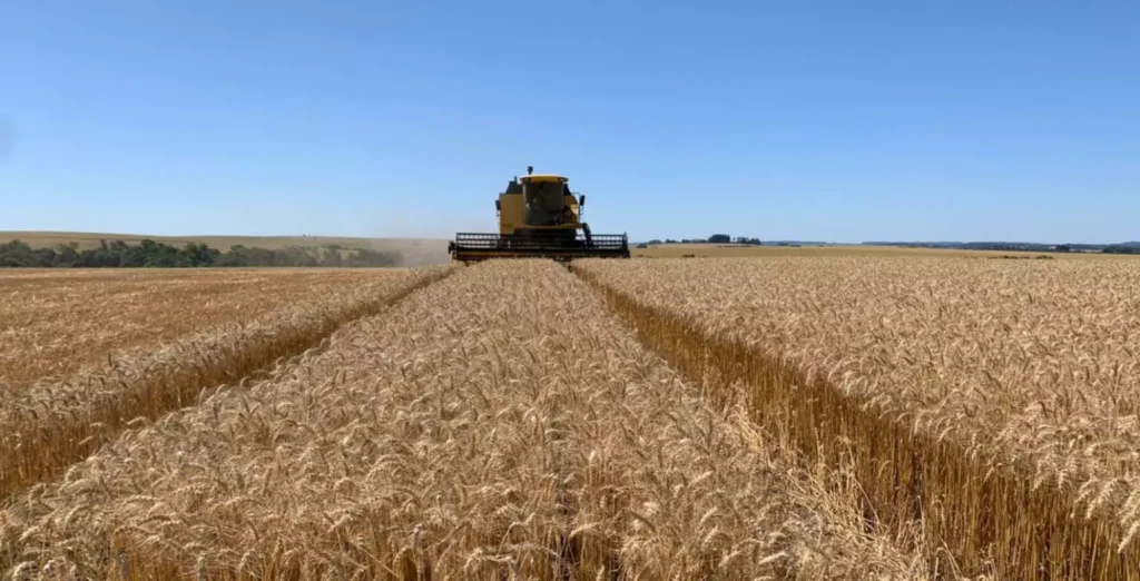 Guerra Afeta o Agronegócio Global, mas Brasil Supera EUA na Competitividade