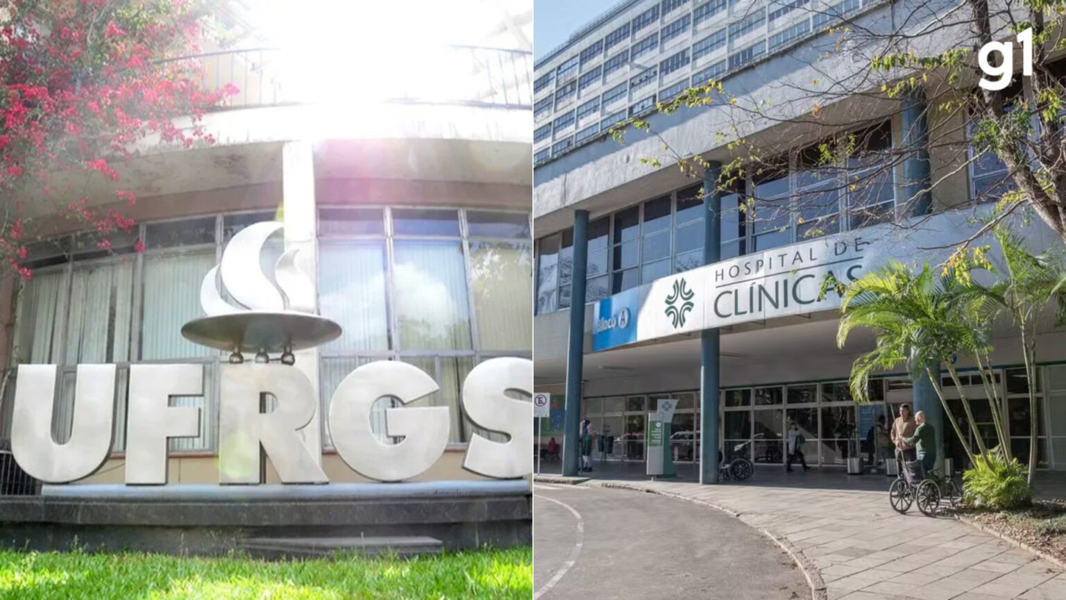 Impacto da Desigualdade de Gênero entre Pais na Saúde Mental dos Filhos: Estudo Revelador