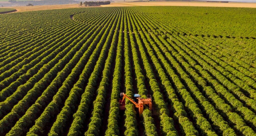 Inadimplência no Agronegócio: Perspectivas do Banco do Brasil e Análise do BTG Pactual