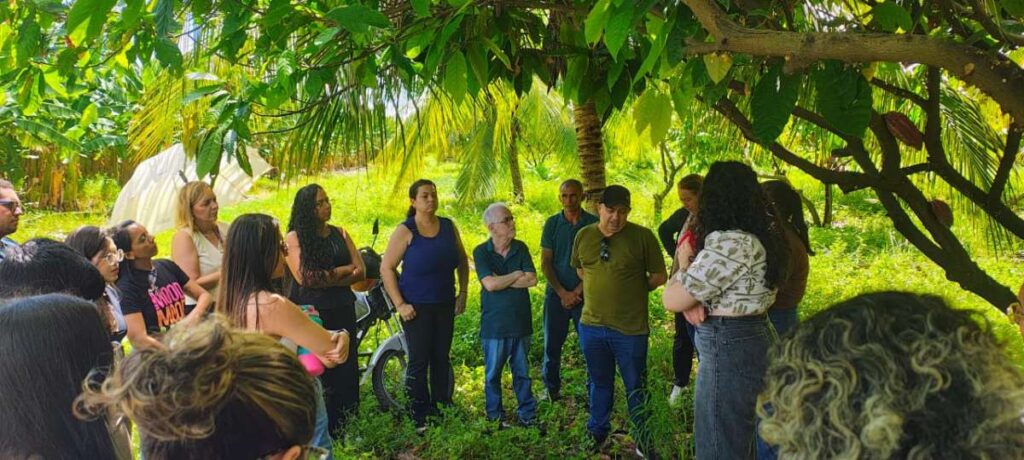 Integração entre Teoria e Prática na Especialização em Vigilância Sanitária da Uece