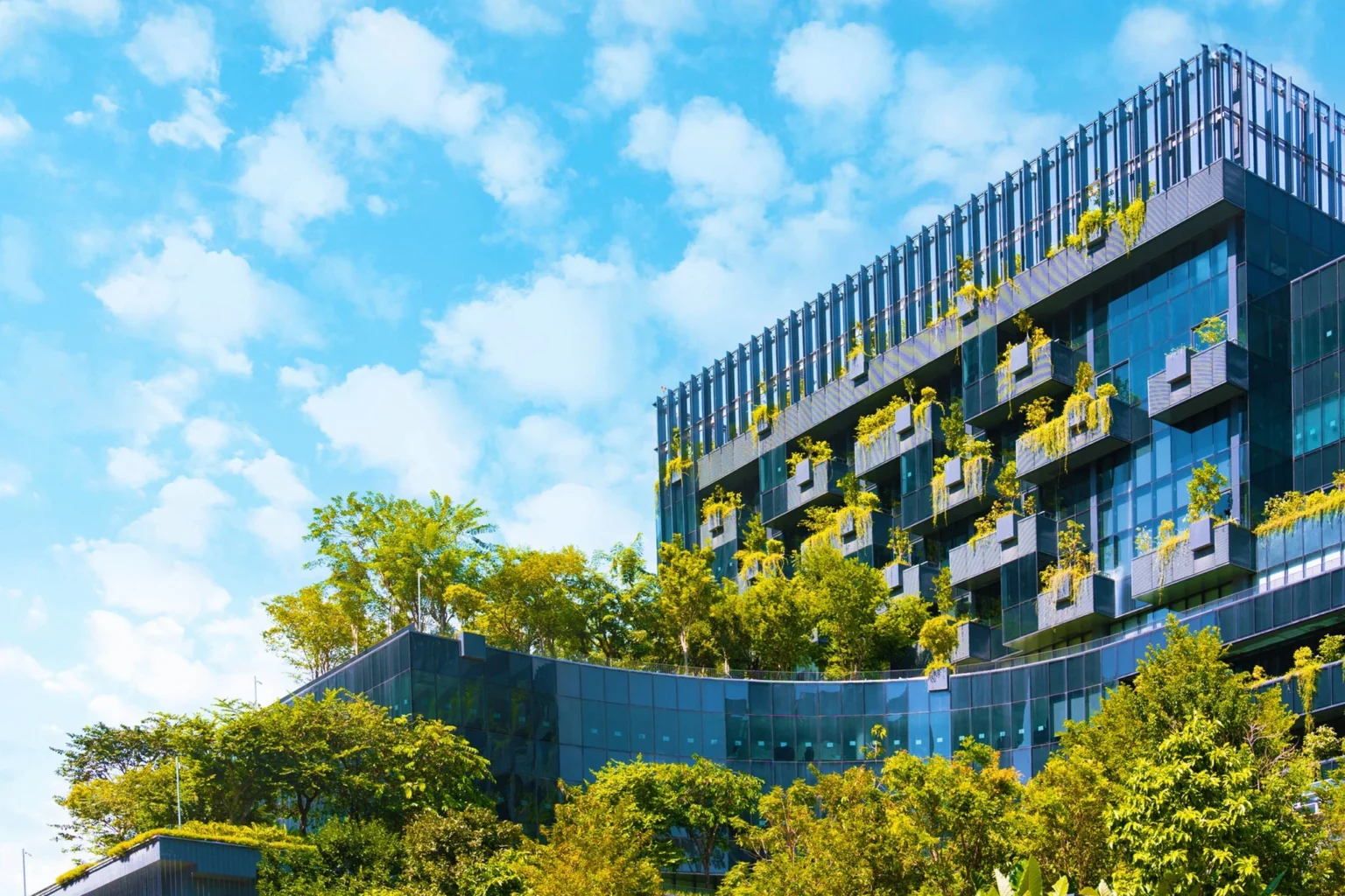 Práticas ESG no Agronegócio: Um Potencial de R$ 247 Bilhões para a Economia Brasileira