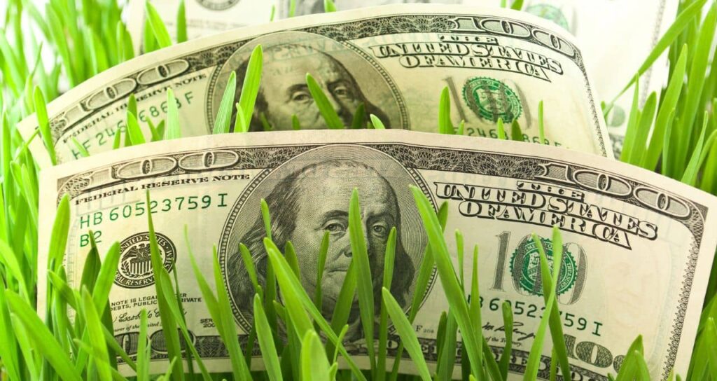 Recuperações Judiciais no Agronegócio: Uma Solução de Vida Curta?